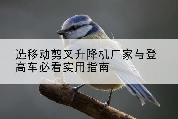合川区电动升降机厂家-选移动剪叉升降机厂家与登高车必看实用指南