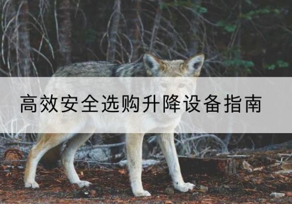 合川区升降货梯厂家推荐-*安全选购升降设备指南